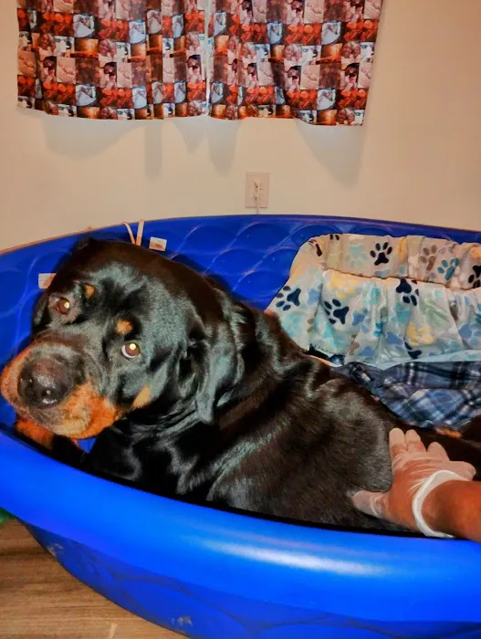 ReadyVets Veterinary Urgent Care Picture 6