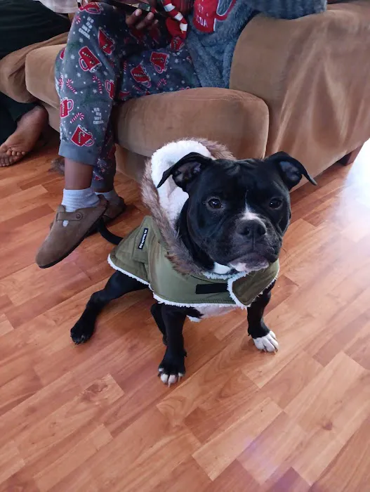 ReadyVets Veterinary Urgent Care Picture 10