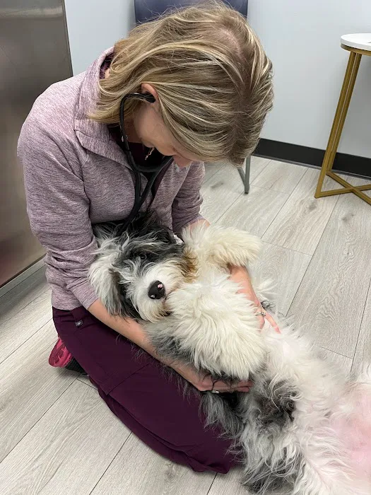 Riverside Vet Picture 6