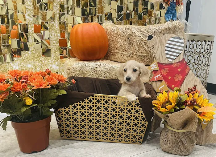 Riverside Vet Picture 8
