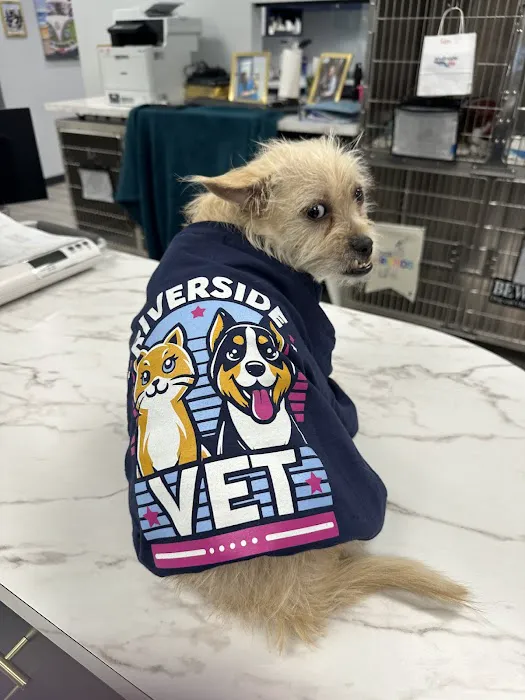 Riverside Vet Picture 9