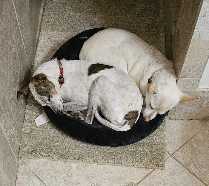 HealthPointe Veterinary Clinic Picture 2