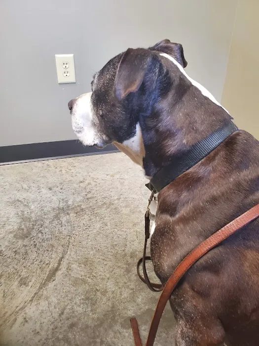 HealthPointe Veterinary Clinic Picture 5