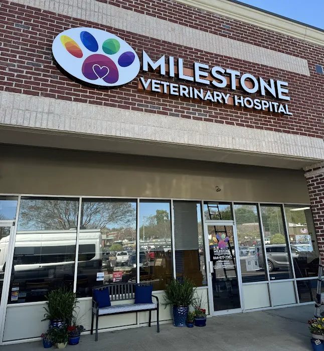 Milestone Veterinary Hospital Picture 5