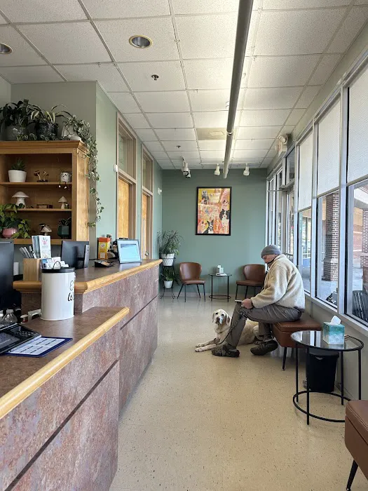 Milestone Veterinary Hospital Picture 6