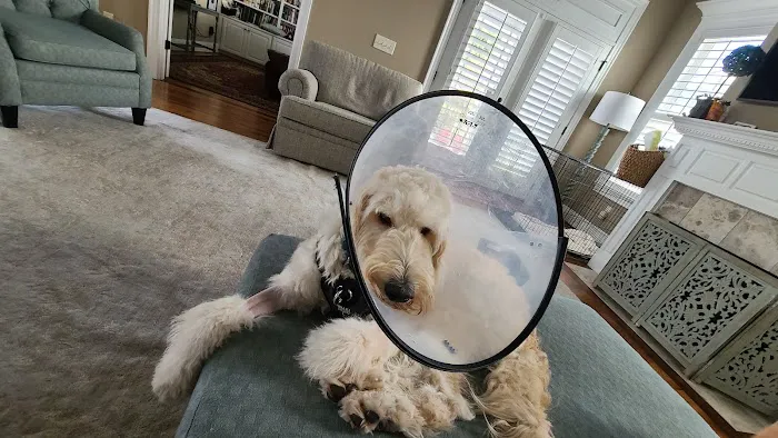 Valley Walk Animal Hospital - Dr. Tony Holtzclaw Picture 5