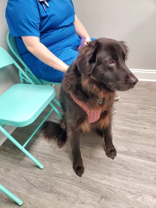 Valley Walk Animal Hospital Picture 2