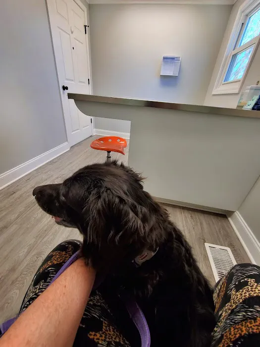 Valley Walk Animal Hospital Picture 7