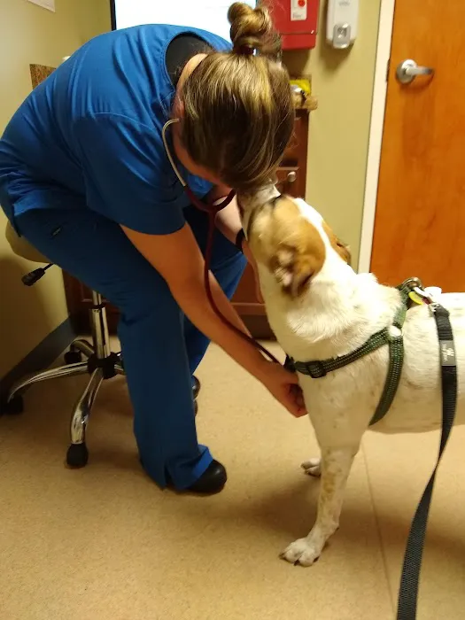 Sunrise Animal Hospital Picture 4