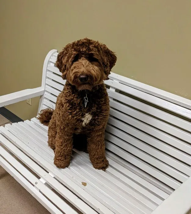Sunrise Animal Hospital Picture 3