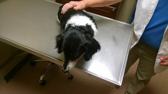 Sunrise Animal Hospital Picture 8