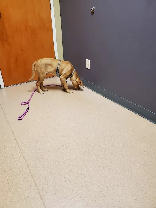 Sunrise Animal Hospital Picture 7