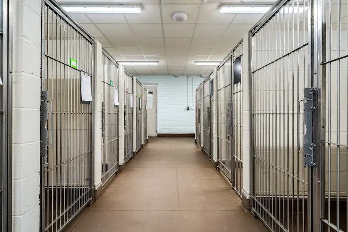 Travelers Rest Animal Hospital Picture 1