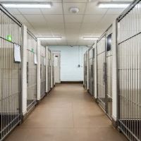Travelers Rest Animal Hospital ico