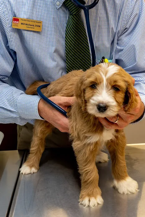 Travelers Rest Animal Hospital Picture 8
