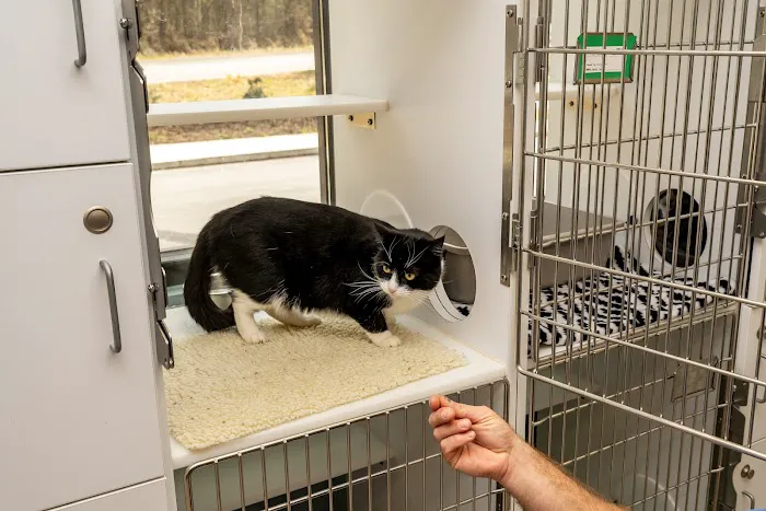 Travelers Rest Animal Hospital Picture 5