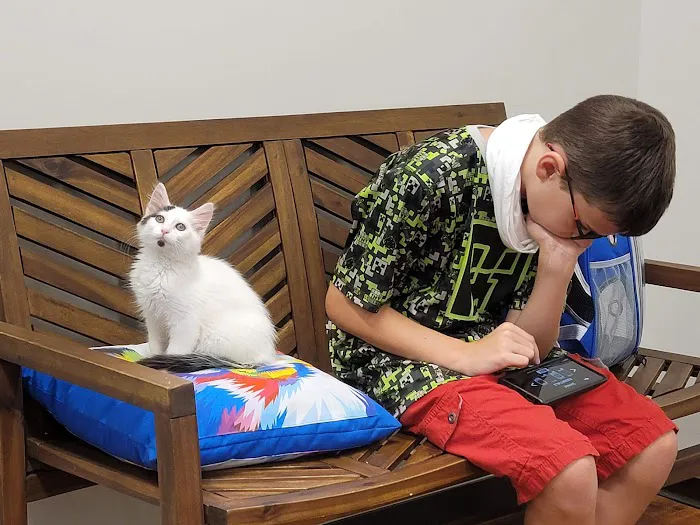 Travelers Rest Animal Hospital: Phillips Bryant DVM Picture 4