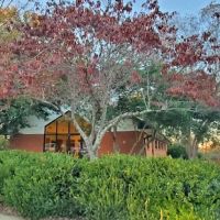 North Greenville Animal Hospital ico