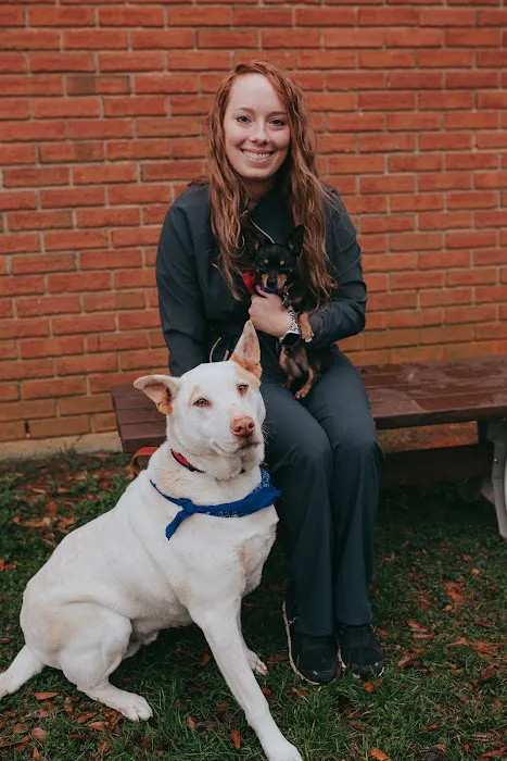 North Greenville Animal Hospital Picture 6