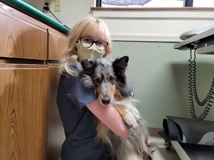 North Greenville Animal Hospital Picture 8