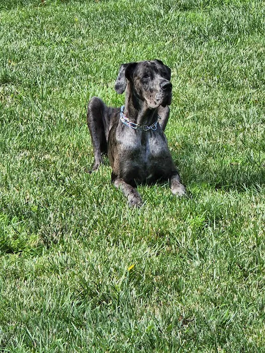 East Greenville Animal Hospital Picture 4