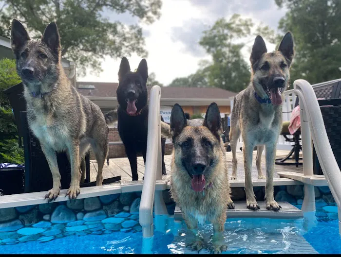 East Greenville Animal Hospital Picture 7