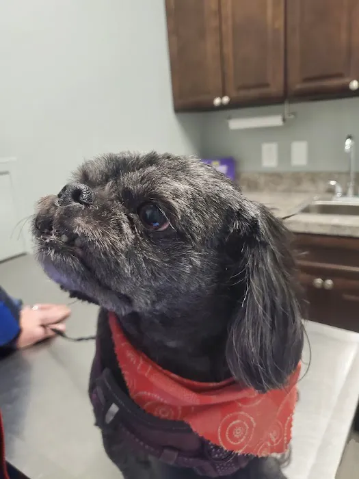 Fisher Hollow Veterinary Clinic Picture 10