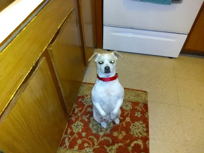 Fisher Hollow Veterinary Clinic Picture 9