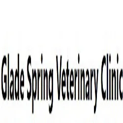 Glade Spring Veterinary Clinic Picture 3