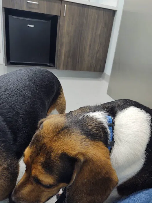 Brentwood Veterinary Center Picture 7