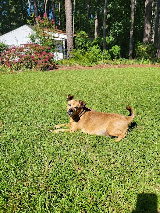 Brentwood Veterinary Center Picture 9