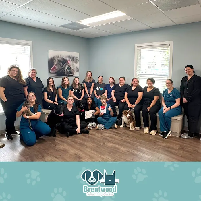 Brentwood Veterinary Center Picture 2