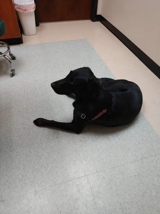 Brandywine Veterinary Hospital Picture 8