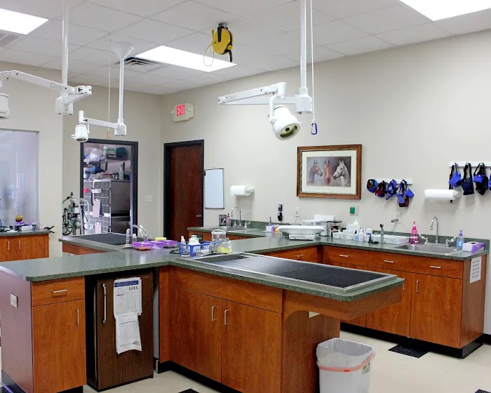 Brandywine Veterinary Hospital Picture 6