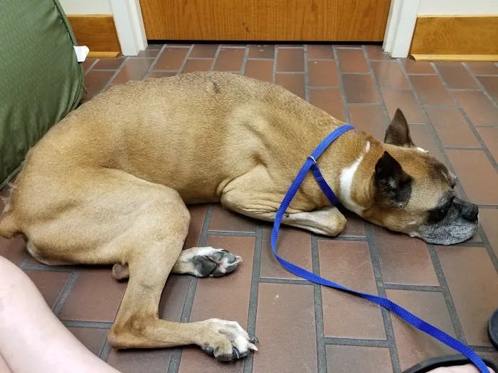 Brandywine Veterinary Hospital Picture 10