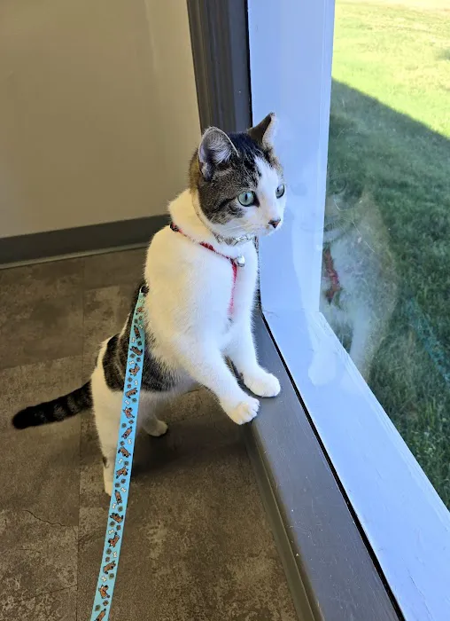 Wilson Veterinary Hospital Picture 6
