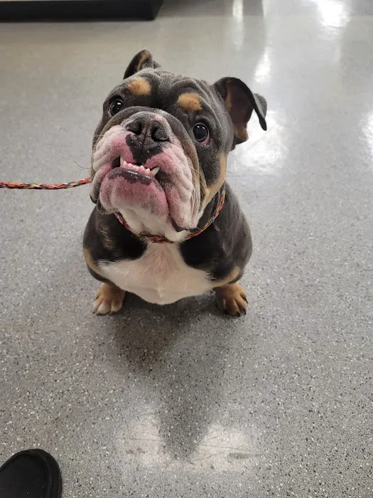 Wilson Veterinary Hospital Picture 2
