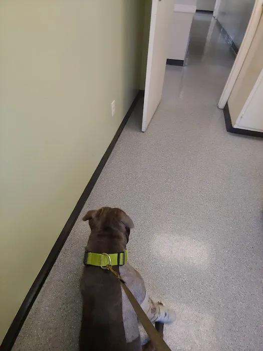 Wilson Veterinary Hospital Picture 8