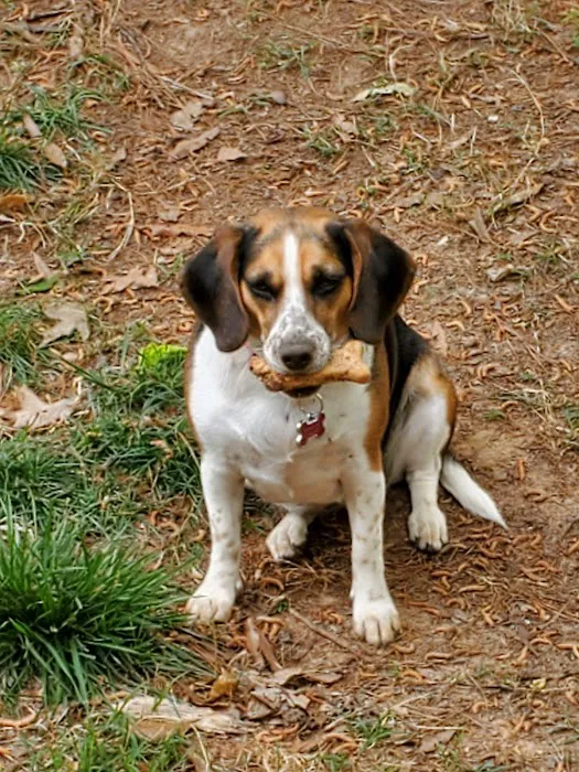 Wilson Veterinary Hospital Picture 9