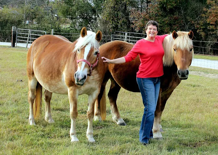 Institute Mobile Veterinary Picture 2