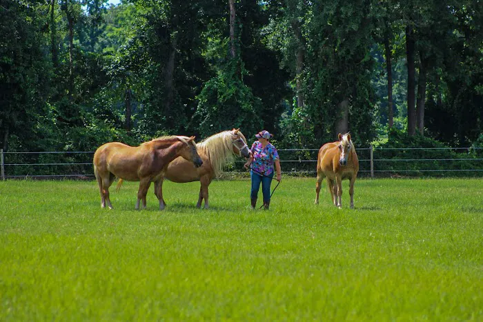 Institute Mobile Veterinary Picture 4