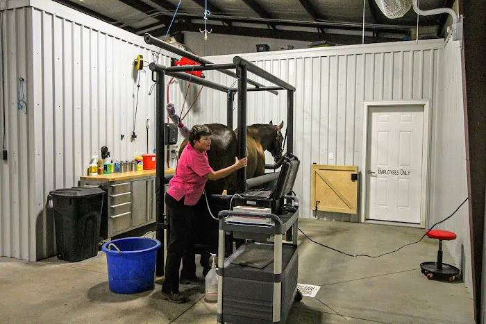 Institute Mobile Veterinary Picture 3