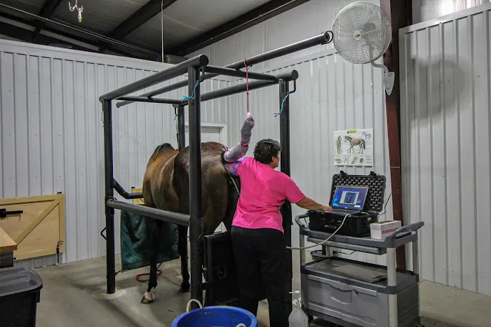 Institute Mobile Veterinary Picture 10