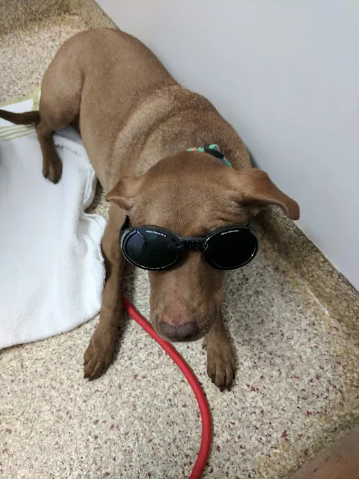 Countryview Animal Hospital Picture 9