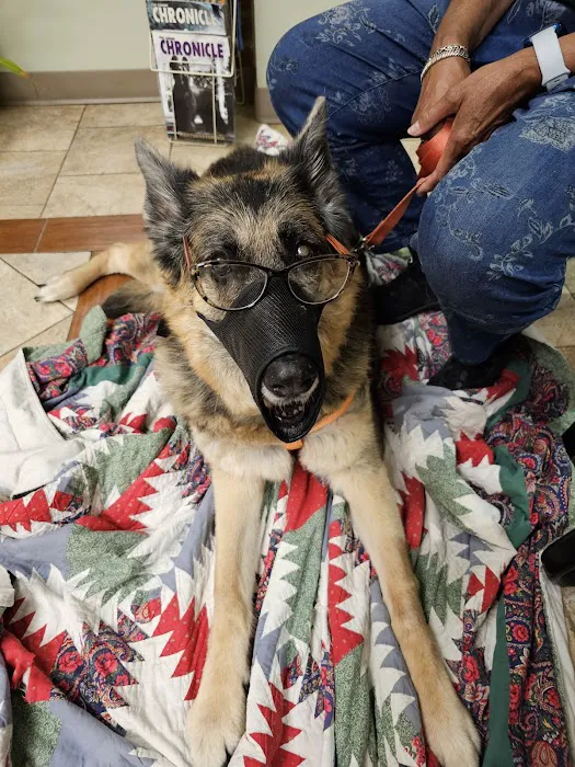 Peninsula Veterinary Clinic Picture 1
