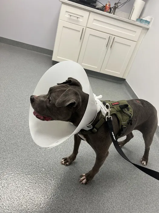 Peninsula Veterinary Clinic Picture 10