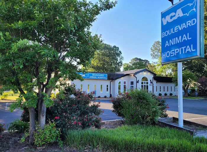 VCA Boulevard Animal Hospital Picture 2