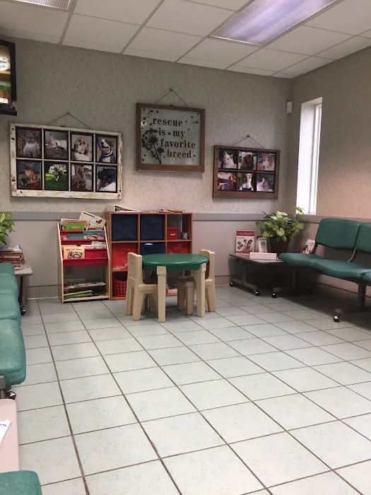 VCA Boulevard Animal Hospital Picture 1