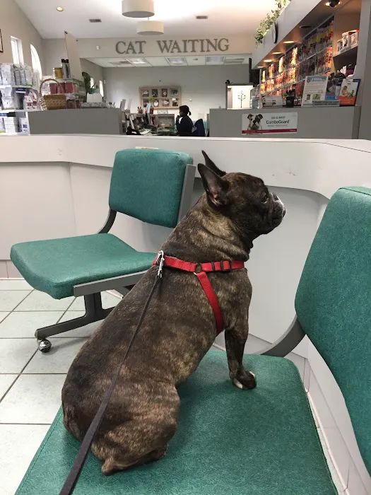 VCA Boulevard Animal Hospital Picture 3