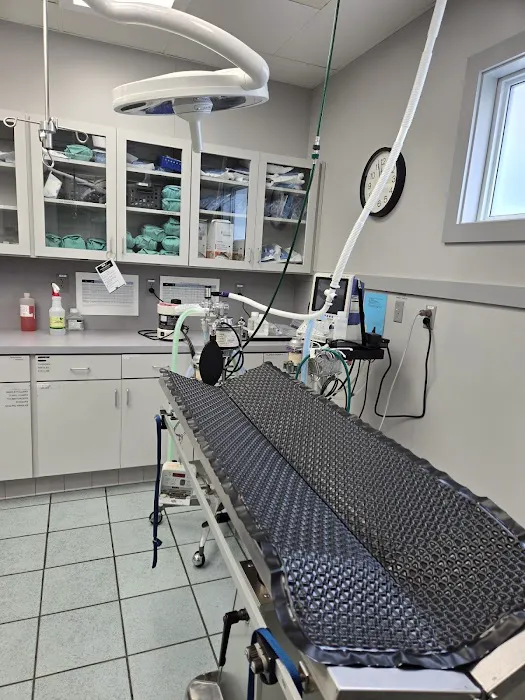 VCA Boulevard Animal Hospital Picture 10